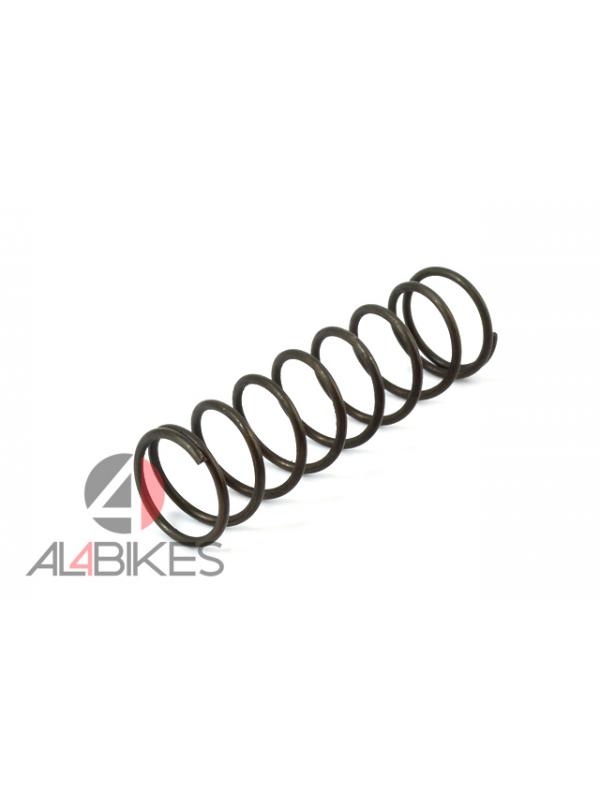 STEEL SPRING FOR H2O HASHTAGG BRAKE - Original replacement for your Hashtagg H2O brakes