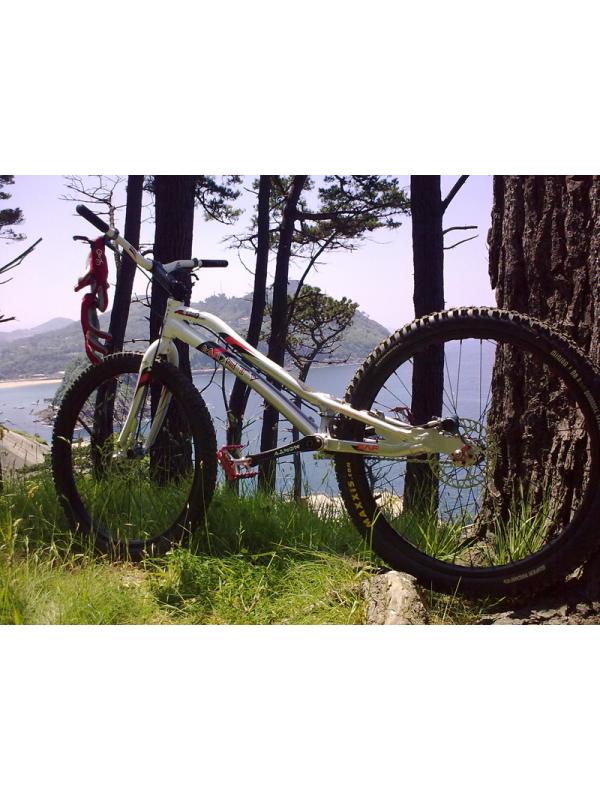 MONTY 231 KAMEL OCASION