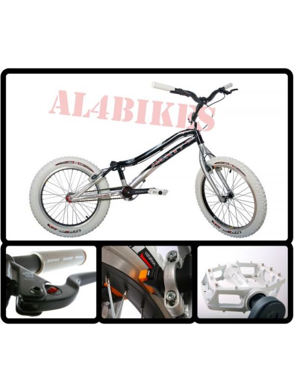 MONTY 219 KAMEL WINTER